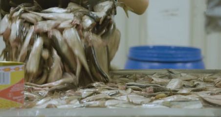 實拍:世界上最臭的工廠,每個工人都已練就&ldquo;百毒不侵&rdquo;的身體